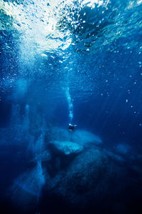 High angle view of man swimming in sea