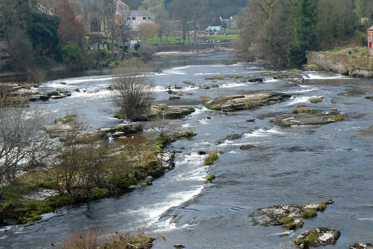 water, flowing water, stream, river, rock - object, flowing, nature, tree, forest, beauty in nature, tranquility, motion, day, outdoors, scenics, tranquil scene, no people, plant, stone - object, wet