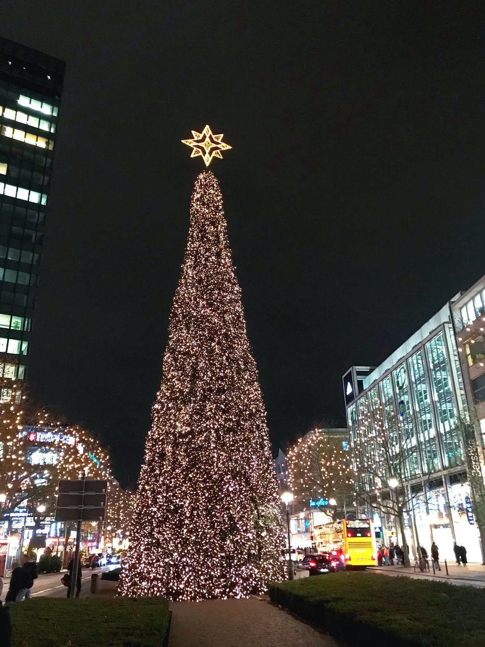 CHRISTMAS TREE AT NIGHT