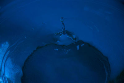 Close-up of swimming underwater