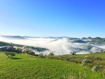 Scenic view of grassy hills during foggy weather