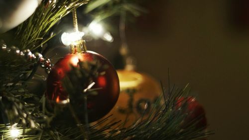 Close-up of illuminated christmas tree