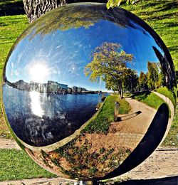 Reflection of trees in water