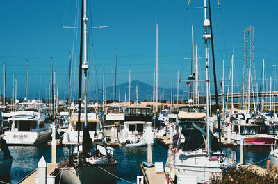 Sailboats moored in harbor