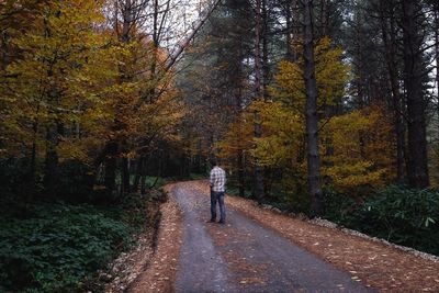 Rear view of person walking on road amidst trees during autumn