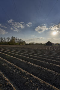 Scenic view of field against sky during sunset