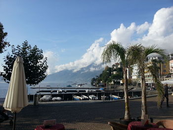 Palm trees on beach against sky