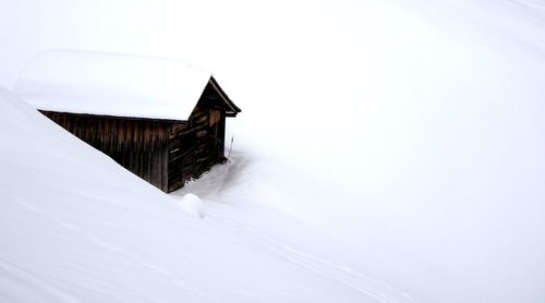 Snow covered trees