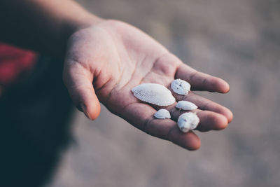 High angle view of person hand holding ice cream