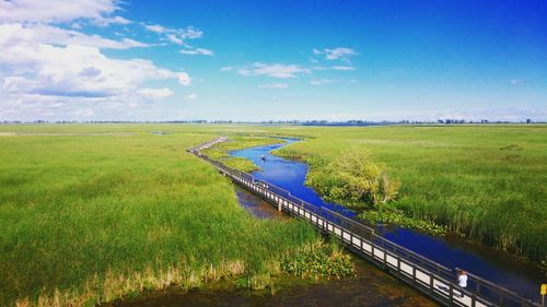 Scenic view of agricultural field against blue sky