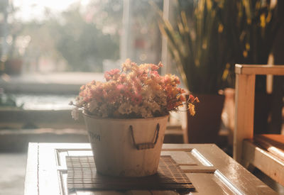 Flowers in the flower pot