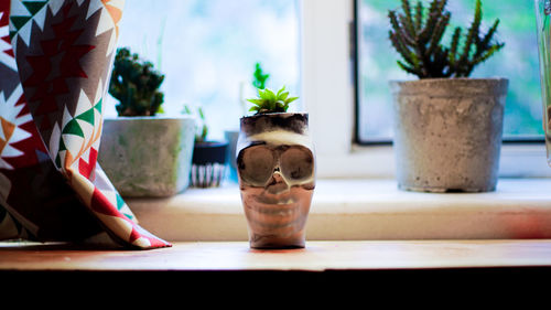 Close-up of potted plants on window sill