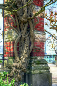 Statue by tree against building