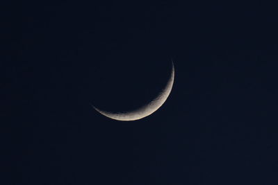 Low angle view of moon in sky at night