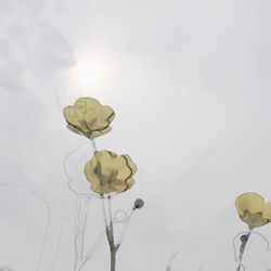 Close-up of flowering plant against sky