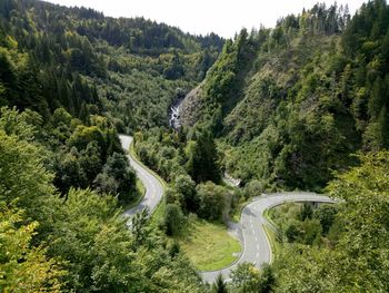 High angle view of winding road amidst trees in forest