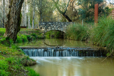 Scenic view of river amidst trees