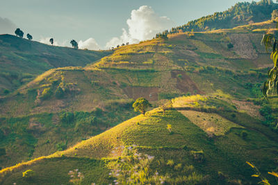 Scenic view of land against sky