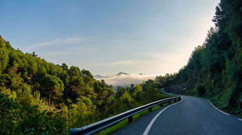 Empty road along trees and plants against sky