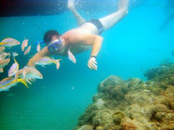 Scuba diving in sea