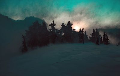 Silhouette of trees on landscape