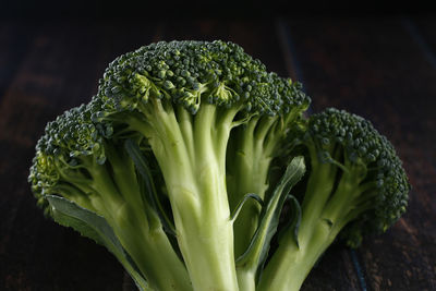 Close-up of green leaf on table against black background