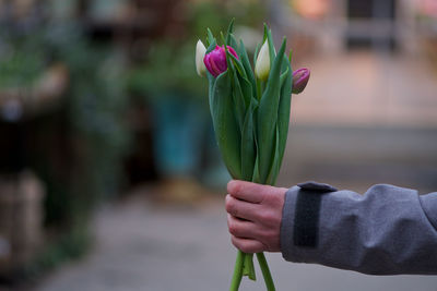 Close-up of hand holding flowers