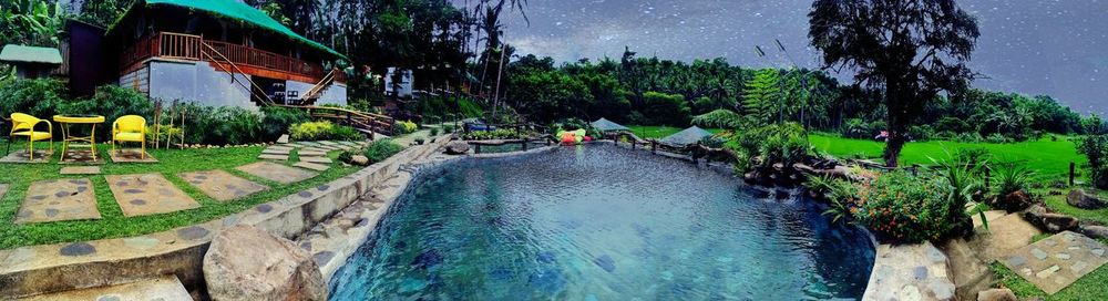 Panoramic shot of trees and plants against sky