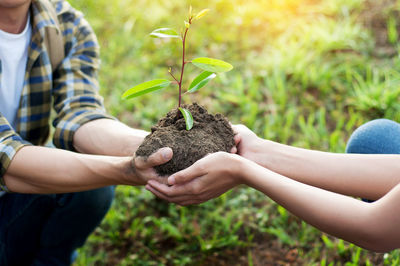 Cropped image of people planting sapling on field