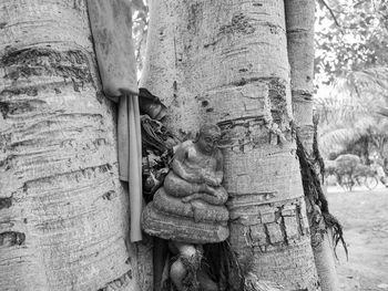 Close-up of an animal on tree trunk