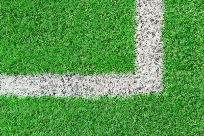 Green grass on sport field with white line