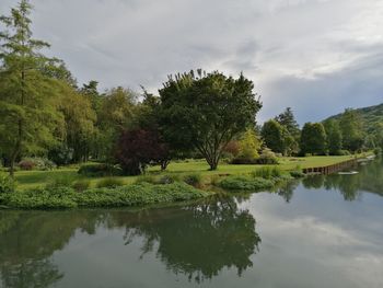 Scenic view of lake by trees against sky