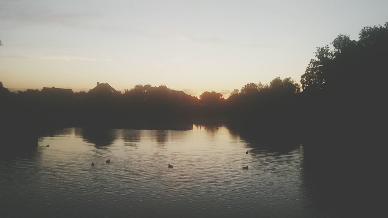 water, animal themes, sunset, bird, silhouette, tree, lake, reflection, animals in the wild, sky, wildlife, tranquil scene, tranquility, waterfront, scenics, nature, beauty in nature, river, one animal, duck