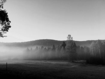 Trees on field against sky