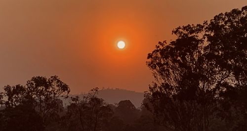 Low angle view of silhouette trees against orange sky