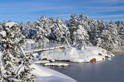 Snow covered plants by trees against sky