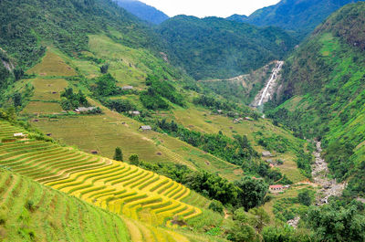 Scenic view of agricultural field