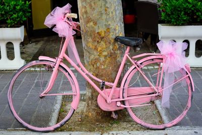 Old-fashioned pink bicycle leaning against tree trunk on sidewalk