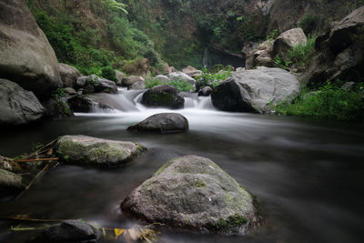Scenic view of waterfall in forest