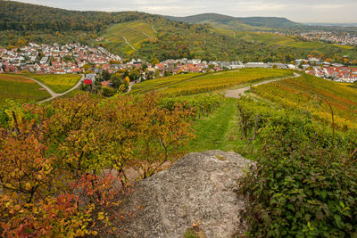 View from vineyard on the village of south german
