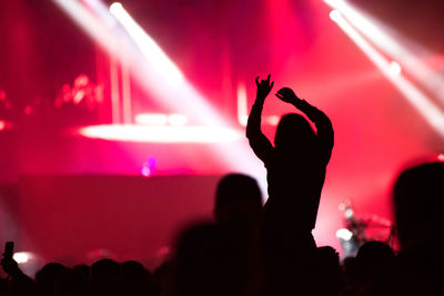 Crowd at music concert