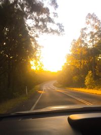 Road passing through forest