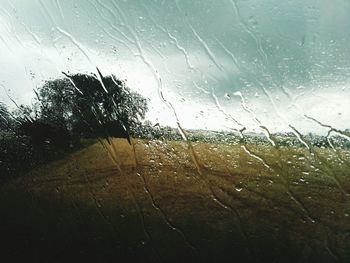 Raindrops on window