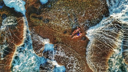 High angle view of female friends relaxing at beach