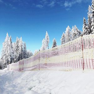 Snow covered plants and trees against sky