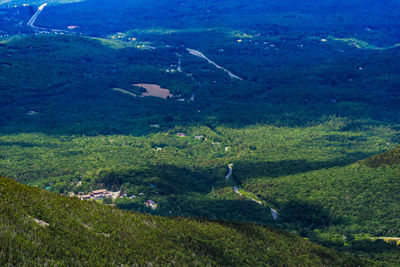 High angle view of birds on landscape