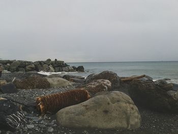 Rocks on sea shore against sky