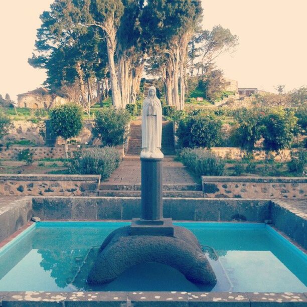 tree, water, built structure, swimming pool, architecture, fountain, building exterior, palm tree, clear sky, park - man made space, pond, sunlight, nature, growth, day, blue, outdoors, reflection, no people, sculpture