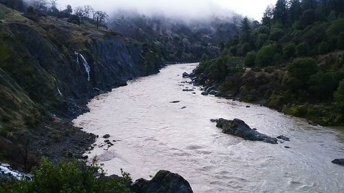 Scenic view of river amidst trees against sky