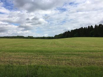 Scenic view of field against sky